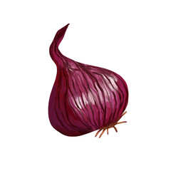 Violet onion on isolated white background. Digital art, oil imitation. Autumn harvest, healthy food.