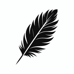 very simple flat and minimalist Bird Feather silhouette in black on a white background