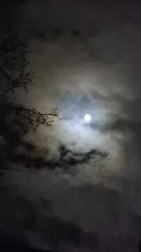 Blood Moon phase in the cloudy windy night sky, shining moonlight on a tree branch, weather and nature planet timelapse