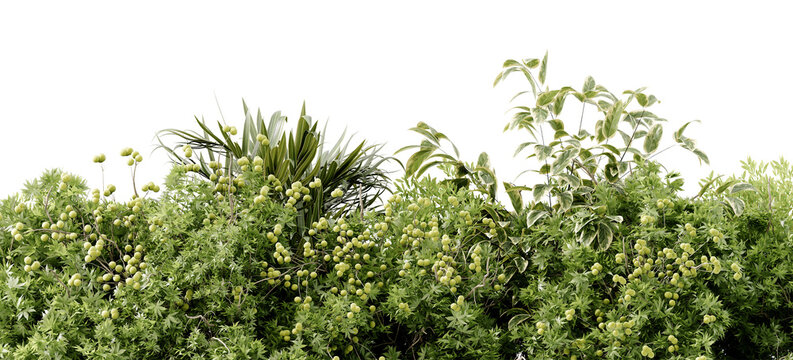 Ideal for architectural visualization and environmental design. Green foliage ,mix of tropical plants, leaf shrubs isolated on transparent background. 3d rendering illustration. PNG format
