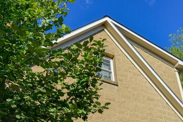 The exterior corner wall of a tall beige brick residential building with lush green trees in front. There's a small glass double-hung window with lace curtains on the top floor. The sky is bright blue