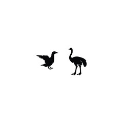 Animals  silhouette 