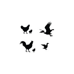 Animals  silhouette 