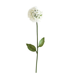 White flower stem green leaves abstract background