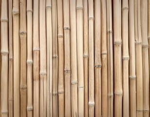 Naklejka premium bamboo texture background
