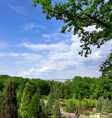 landscape with trees