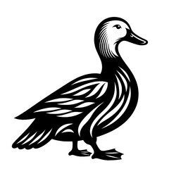 This is a beautiful black and white smile.