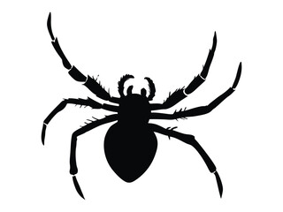 Intriguing Spider Silhouette: A stark, artistic silhouette of a spider, showcasing the creature's intricate form.