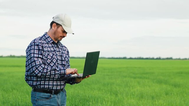 senior agrotechnician inspects the wheat field, monitor care harvest, production bread farm, farm business, aronom businessman works digital computer program, farming, agriculture, green grass, field