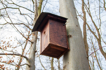birds house