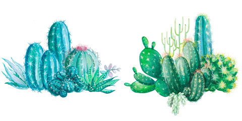 Watercolor illustration cacti. Set of houseplants, desert plant, cactus flower, aloe, succulent. © Olha Bakarenkova