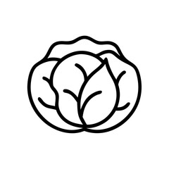 Cabbage 