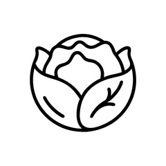 Cabbage 