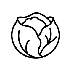 Cabbage 