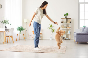 Young happy smiling female owner playing with joyful little cute dog at home with a toy enjoying leisure together. Cheerful woman training her pet in living room. Animal care and love concept.