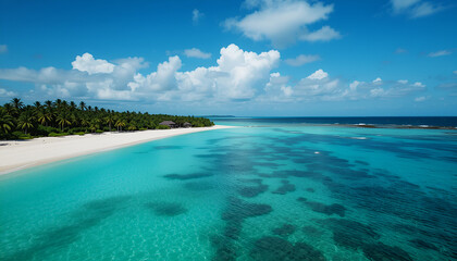 Fototapeta premium aerial view of the beach