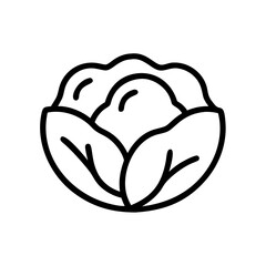 Cabbage 
