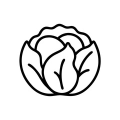 Cabbage 