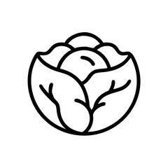 Cabbage 
