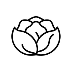 Cabbage 