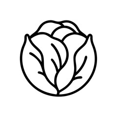 Cabbage 