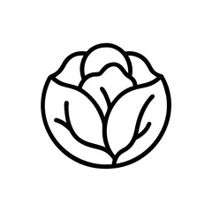 Cabbage 