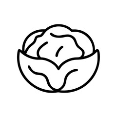 Cabbage 