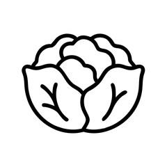 Cabbage 
