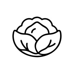 Cabbage 