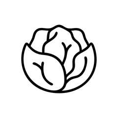 Cabbage 