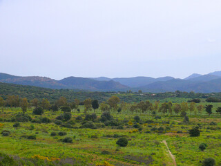 Natura