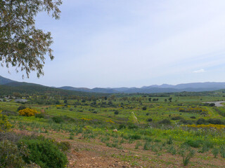 Natura