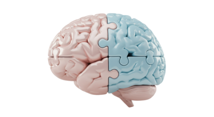 Isolated Brain Puzzle Halves - Concept of Logic and Creativity