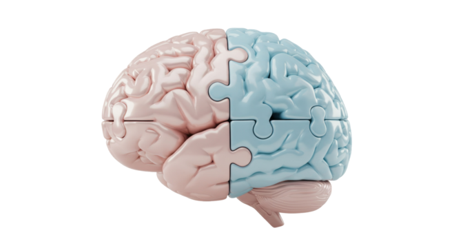 Isolated Brain Puzzle Halves - Concept of Logic and Creativity