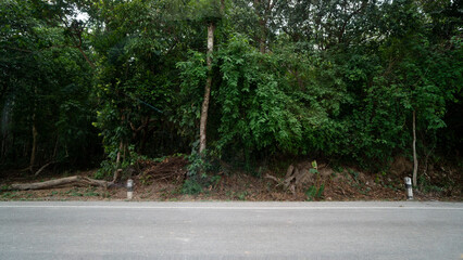 Horizontal view of asphalt road in Thailand. Background of green forest on the mound. and road Boundary Pole.