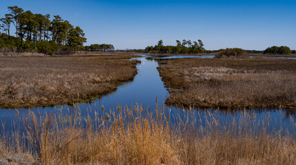 Small canal works its way through the marshes and wetlands in the Chiconteague Wildlife Refuge in Virginia