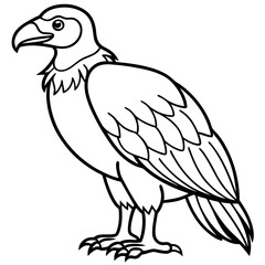 Fototapeta premium Graceful Vulture Line Art Design