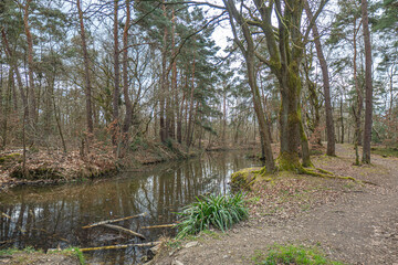 Die Landschaft in und um der Bergwerkswüstungszone im Eschweiler Wald