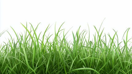 Fototapeta premium Fresh Green Grass Clipart for Design and Decoration