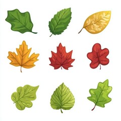 Obraz premium Colorful collection of autumn leaves and foliage