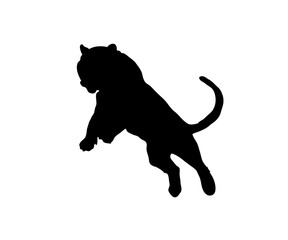 silhouette of a lion