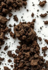 Close-up of rich, dark soil clod isolated on white background, natural, agriculture, earth