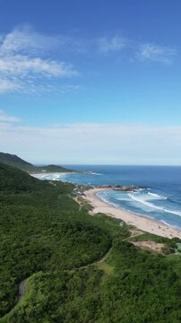 Praia Mole Florian&oacute;polis Surfistas