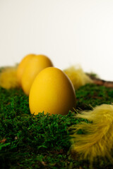 Yellow Easter eggs with feathers on green moss. The concept is Easter, spring, celebration, and decoration. Suitable for topics about seasonal design, tradition, and nature-inspired holiday aesthetics