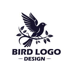The bird logo design and branding logo template 