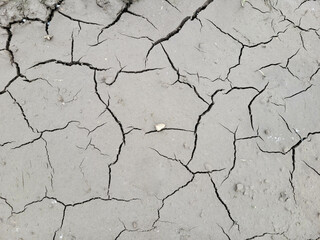 The gray soil on a bright sunny day looks desolate, withered and cracked.