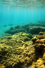 Fototapeta premium Shallow seabed with the rocks, underwater photo from the snorkeling. Shallow sunny water, blue sea, colorful big stones with nice sunrays. Ocean and sun. Adventure snorkeling, undersea landscape.