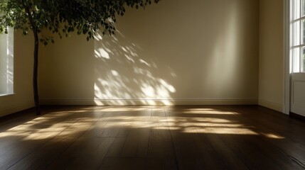 Fototapeta premium Empty room bathed in sunlight, shadows from a tree