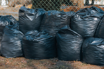 Black Garbage Bags Lined Up Against a Fence