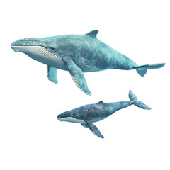 Fototapeta premium Humpback whales underwater side view digital art